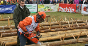 zawody drwali piłowanie