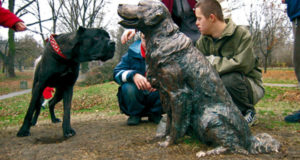 Pomnik psa szczęśliwego