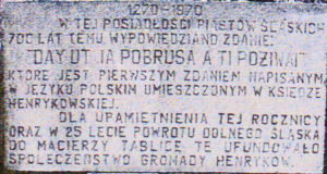 pomnik księga henrykowska