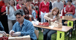 szypułkowanie truskawek